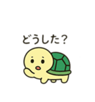 可愛い亀日本語（個別スタンプ：14）