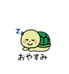 可愛い亀日本語（個別スタンプ：16）
