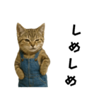 表情豊かな猫は2足歩行（個別スタンプ：1）