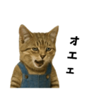 表情豊かな猫は2足歩行（個別スタンプ：3）