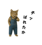 表情豊かな猫は2足歩行（個別スタンプ：6）