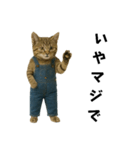 表情豊かな猫は2足歩行（個別スタンプ：7）