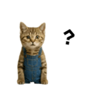 表情豊かな猫は2足歩行（個別スタンプ：13）