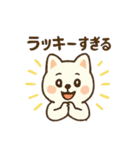 ハクの部屋／ラッキースタンプ（個別スタンプ：14）