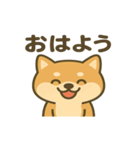 かわいい柴犬の日常♪（個別スタンプ：1）