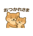 かわいい柴犬の日常♪（個別スタンプ：2）