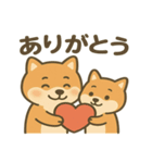 かわいい柴犬の日常♪（個別スタンプ：3）
