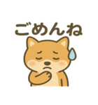 かわいい柴犬の日常♪（個別スタンプ：4）