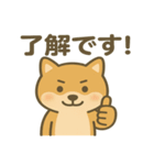 かわいい柴犬の日常♪（個別スタンプ：5）