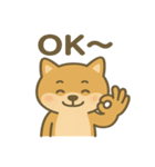 かわいい柴犬の日常♪（個別スタンプ：6）