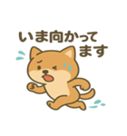 かわいい柴犬の日常♪（個別スタンプ：9）
