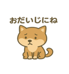 かわいい柴犬の日常♪（個別スタンプ：10）