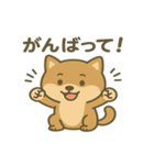 かわいい柴犬の日常♪（個別スタンプ：11）