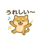 かわいい柴犬の日常♪（個別スタンプ：13）