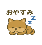 かわいい柴犬の日常♪（個別スタンプ：16）