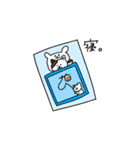 さけねこ（個別スタンプ：1）