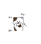 さけねこ（個別スタンプ：16）