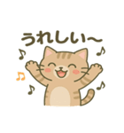 かわいい猫の日常♪（個別スタンプ：13）