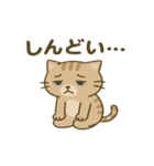 かわいい猫の日常♪（個別スタンプ：14）