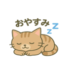 かわいい猫の日常♪（個別スタンプ：16）