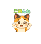 日常使える三毛猫さんスタンプ（個別スタンプ：3）