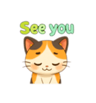 日常使える三毛猫さんスタンプ（個別スタンプ：9）
