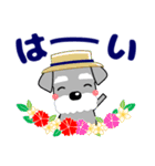 優しい大人の気づかいシュナウザー 夏（個別スタンプ：6）