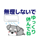 優しい大人の気づかいシュナウザー 夏（個別スタンプ：8）
