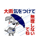 優しい大人の気づかいシュナウザー 夏（個別スタンプ：9）