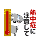 優しい大人の気づかいシュナウザー 夏（個別スタンプ：10）