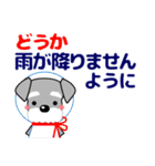 優しい大人の気づかいシュナウザー 夏（個別スタンプ：11）