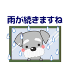 優しい大人の気づかいシュナウザー 夏（個別スタンプ：12）
