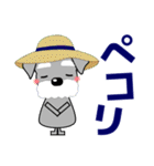 優しい大人の気づかいシュナウザー 夏（個別スタンプ：16）