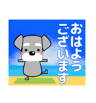 優しい大人の気づかいシュナウザー 夏（個別スタンプ：19）