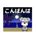 優しい大人の気づかいシュナウザー 夏（個別スタンプ：21）