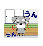 優しい大人の気づかいシュナウザー 夏（個別スタンプ：22）