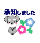 優しい大人の気づかいシュナウザー 夏（個別スタンプ：24）