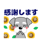 優しい大人の気づかいシュナウザー 夏（個別スタンプ：25）