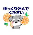 優しい大人の気づかいシュナウザー 夏（個別スタンプ：30）