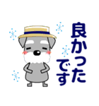 優しい大人の気づかいシュナウザー 夏（個別スタンプ：33）