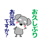優しい大人の気づかいシュナウザー 夏（個別スタンプ：35）