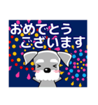 優しい大人の気づかいシュナウザー 夏（個別スタンプ：36）