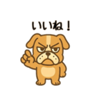 可愛いフレブル日本語（個別スタンプ：3）