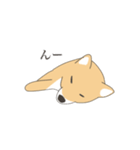 そう、そこに柴犬が（個別スタンプ：5）