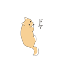 そう、そこに柴犬が（個別スタンプ：7）