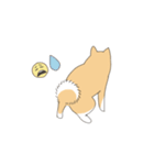 そう、そこに柴犬が（個別スタンプ：9）