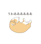 そう、そこに柴犬が（個別スタンプ：11）