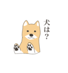 そう、そこに柴犬が（個別スタンプ：12）