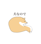 そう、そこに柴犬が（個別スタンプ：13）
