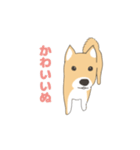 そう、そこに柴犬が（個別スタンプ：14）